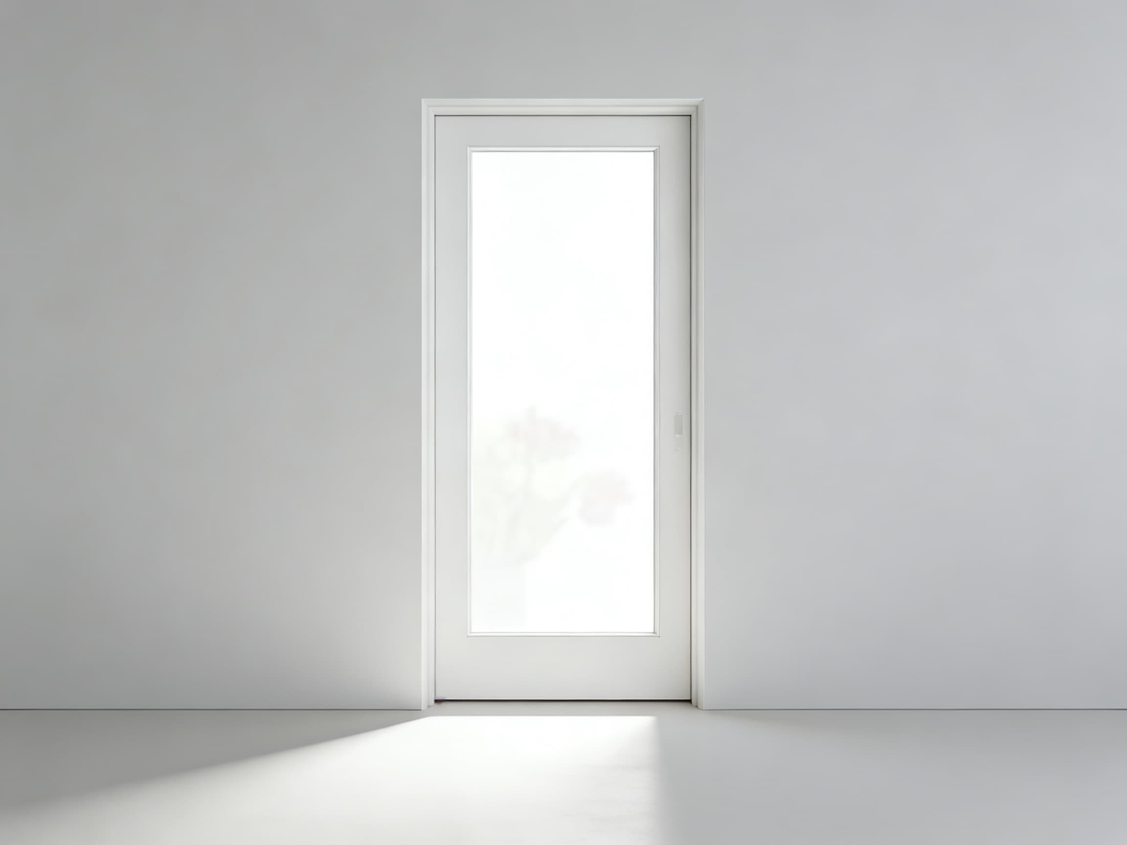 Laminated Glass Door